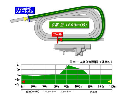 s1600mR[Xf[^
