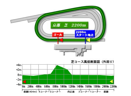 京都
競馬場芝2200m