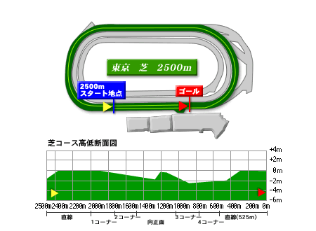 東京芝2500mコースデータ