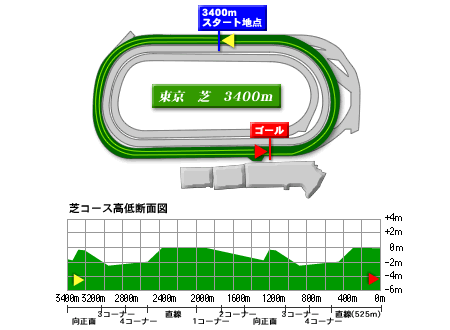 東京競馬場芝3400m